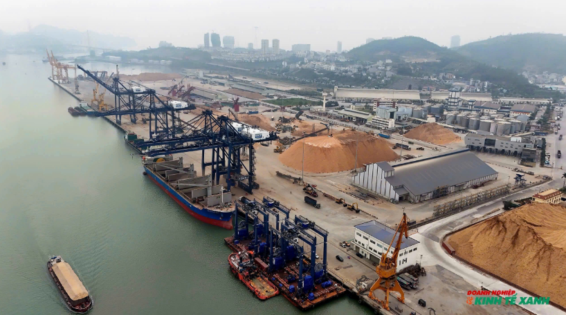 Quảng Ninh: Nghiên cứu chuyển đổi công năng cảng Cái Lân thành cảng du lịch